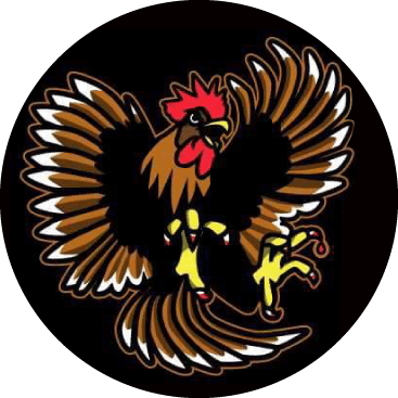 Carlson Gracie Grand Rapids Icon.